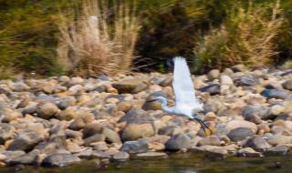 武夷山九曲溪漂流