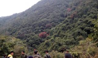 厦门云顶山 厦门云顶山