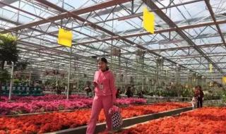 现代农业生态观光园 现代农业生态观光园