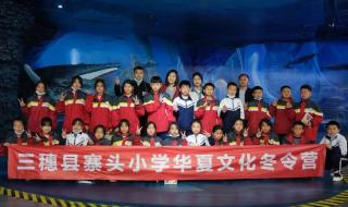 深圳华夏艺术中心 深圳华夏艺术中心