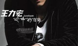 心中的日月王力宏 心中的日月王力宏