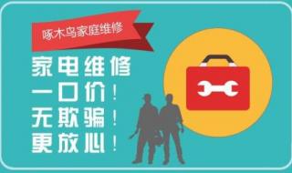 啄木鸟维修 啄木鸟维修