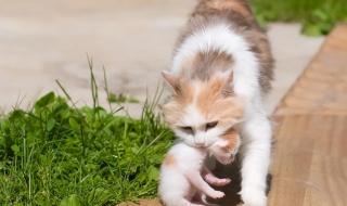 因为喜欢你 因为喜欢你