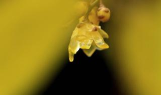 雨声在滴答 雨声在滴答