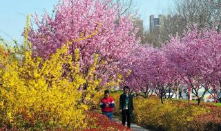 濮阳市地图 濮阳市地图