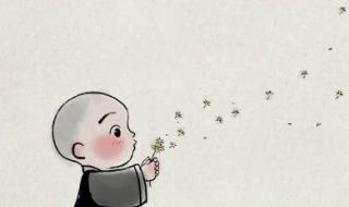 小和尚动画片 小和尚动画片