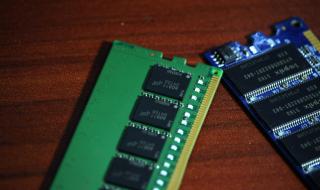 kingstonkvr kingstonkvr