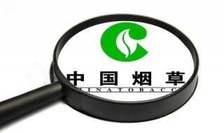 中国烟草招聘要求