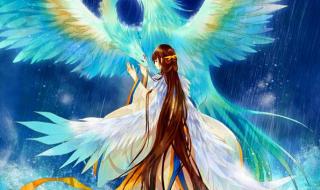 凤凰涅磐浴火重生