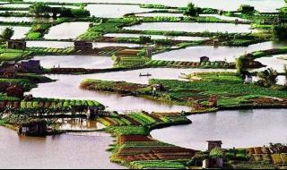 最新电影南方小镇