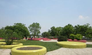 上海辰山植物园攻略