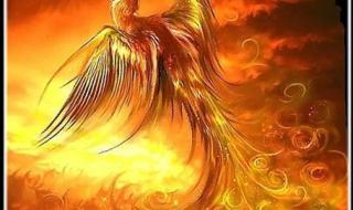 凤凰涅磐浴火重生
