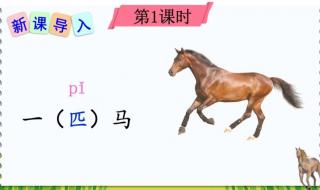 一匹出色的马课文 一匹出色的马课文