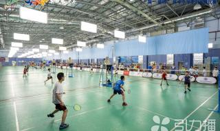 苏迪曼杯羽毛球规则